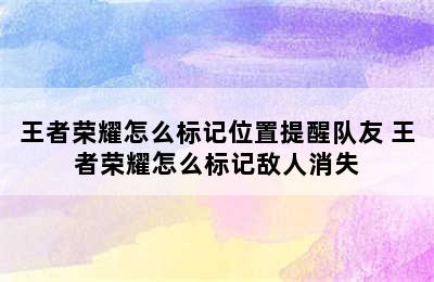 王者荣耀怎么标记位置提醒队友 王者荣耀怎么标记敌人消失